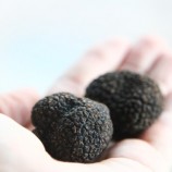Mostra Mercato del Tartufo Nero di Norcia – Monte Meraviglia Hotel