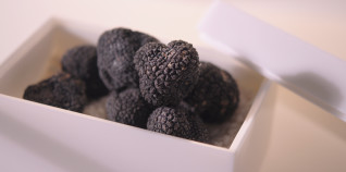 Mostra Mercato del Tartufo Nero di Norcia – La Reggia