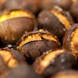 Festa di San Martino, Castagne e Vino – Monte Meraviglia Hotel