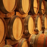 Degustazioni a Casa Magrelli