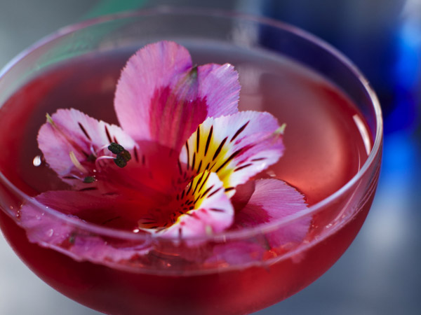 Pool dinner drink party festa cascia cocktails aperitivo